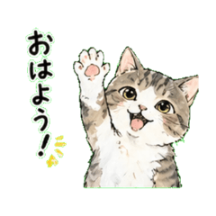 konekokun - Daily Chat Stickers