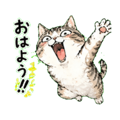 lively kitten - Daily Chat Stickers