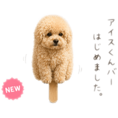 nagisa_20260422164842