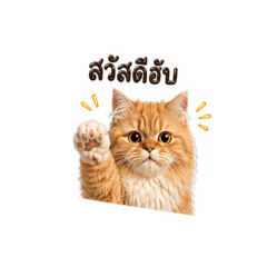 NekoNini_20260427164524