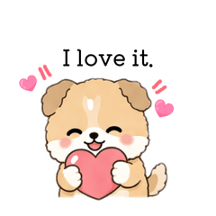 Kibby_20260427165237