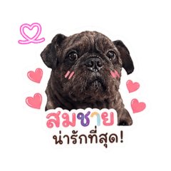 Kamonchanoh_20260427165319