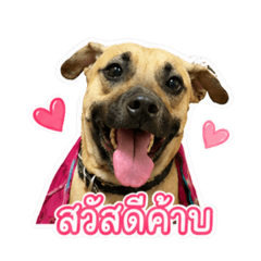 Nickkycung_20260427173246