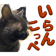 Anago_20260422203951