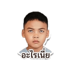 Potterrr_20260427174045