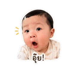 Nicha_20260427180520