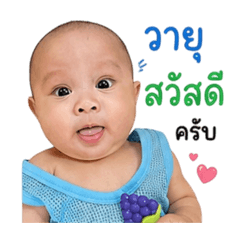 Wayu1_20260427181439