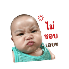 Wayu1_20260427181517