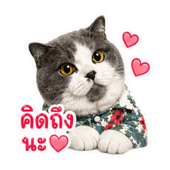 Mr.art_20260427172135