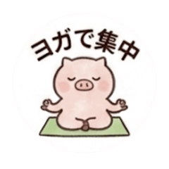 hareco_20260422211927