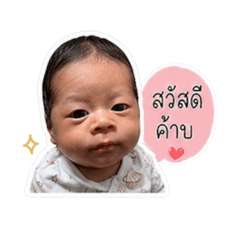 janeped_20260427172139