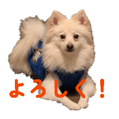 Molun_20260422210956