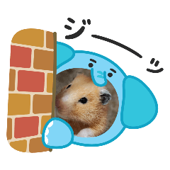 MACOLove_20260422211210