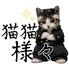 maomao_20260422223331