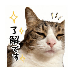 inamama_20260428131631