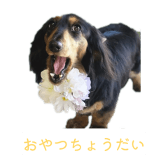 tattata_20260428132332