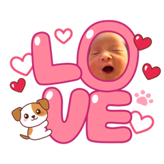 圈圈來到地球上