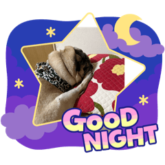 Magnolia_20260428132805