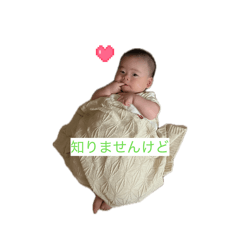 Jiao_20260428134109