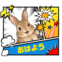 hiroki0210_20260428164555