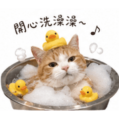 澳洲小花一家人