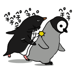 Wild adelie penguin(animation)