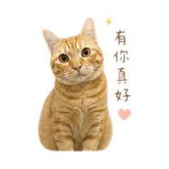 蕭阿咪
