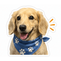 Didi我最愛的寶貝