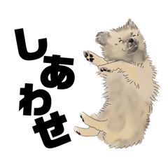 mashumaro_20260428115858