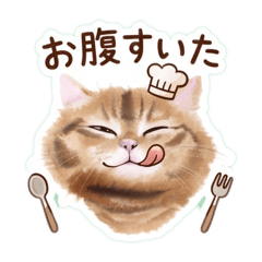 hibikibe_20260428120708