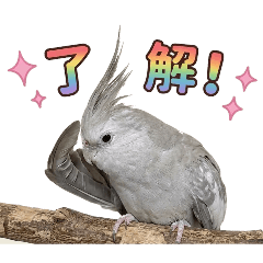 doramihime_20260428120928