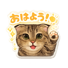 neconeco_20260428120419