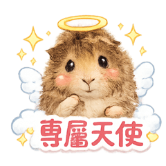 貝貝公主～珍藏版❤️