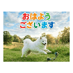 pursuer_20260428204830