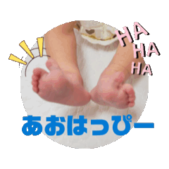 meerkat_20260428220053