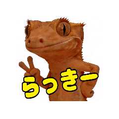 Luppy_20260422233615