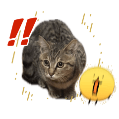 mami_202604281242421