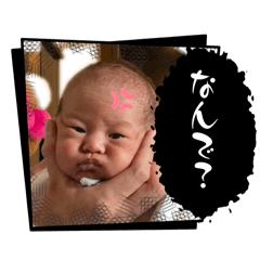Chicken_20260428113957