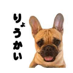 shima_20260428141354