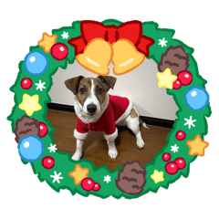 Shizuku_20260428144831