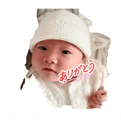 taiga_20260428144641