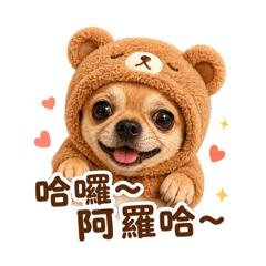 可愛的Kimi小寶寶Mimi