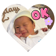 tamaeri_20260428143911