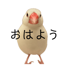 odango_20260428145310