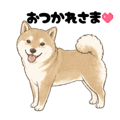 Shiba-ten_20260428170314