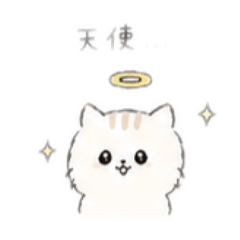 gdgd41s_20260428145027