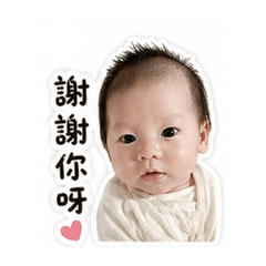 元寶日常療癒貼圖