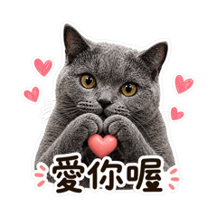 泡泡日常生活篇