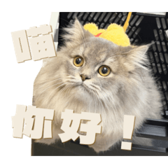 搗灰的日常用語