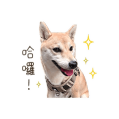 我家勾錐貼圖